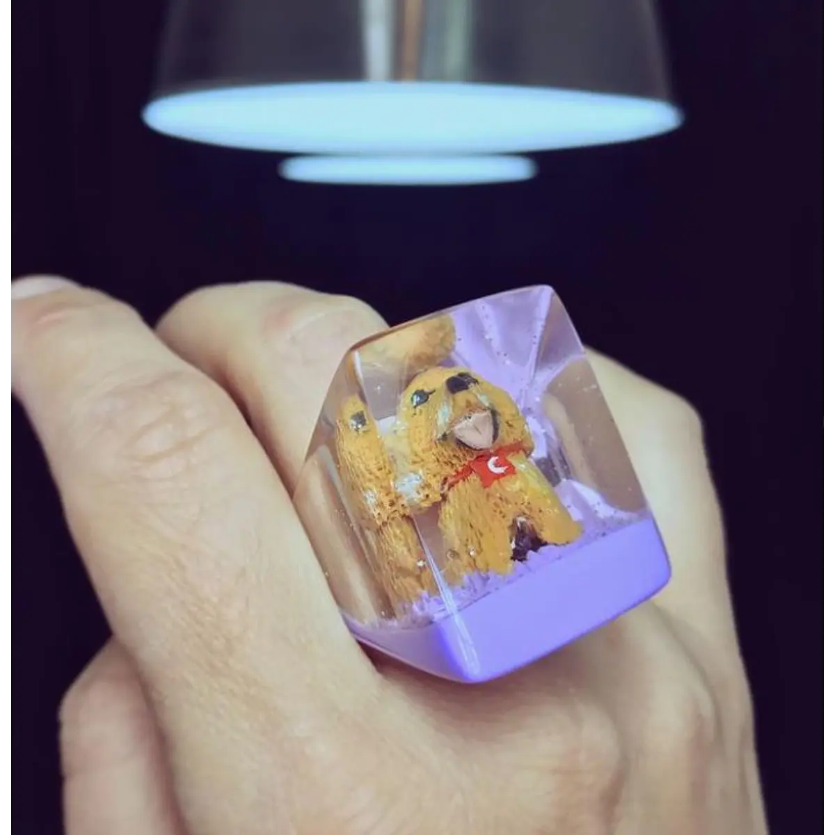 Anillo Codro Mascota