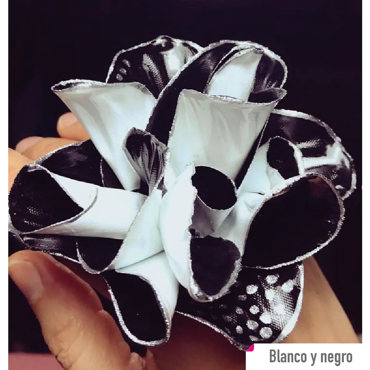 Anillo Orgánico